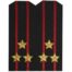 Погоны VT Морская пехота на офисную форму Полковник рип-стоп машинная вышивка пластик (2204993)
