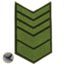 Знак - годичка ( нашивка шеврон ) VT нарукавный за выслугу лет ( по годам службы ) 13 лет полевой (2508063)