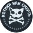 Нашивка ( шеврон патч patch ) тактическая Котики или смерть вышитая на липучке D-9, цвет черная в военторге