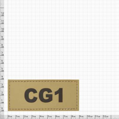 Нашивка ( шеврон патч patch ) тактическая Позывной СG1 недорого