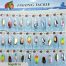 Набор Блесна NEWAY FISHING TACKLE 30 штук. (Арт. RS24288)