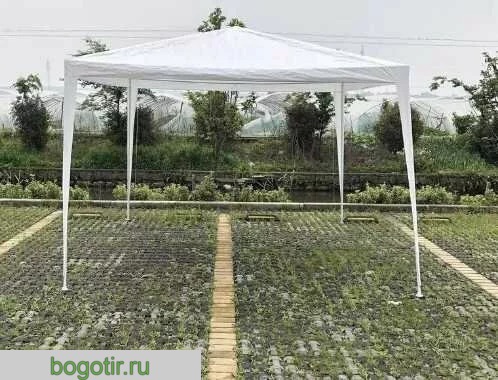 COOLWALK шатёр 3030 (Арт. RS2765)